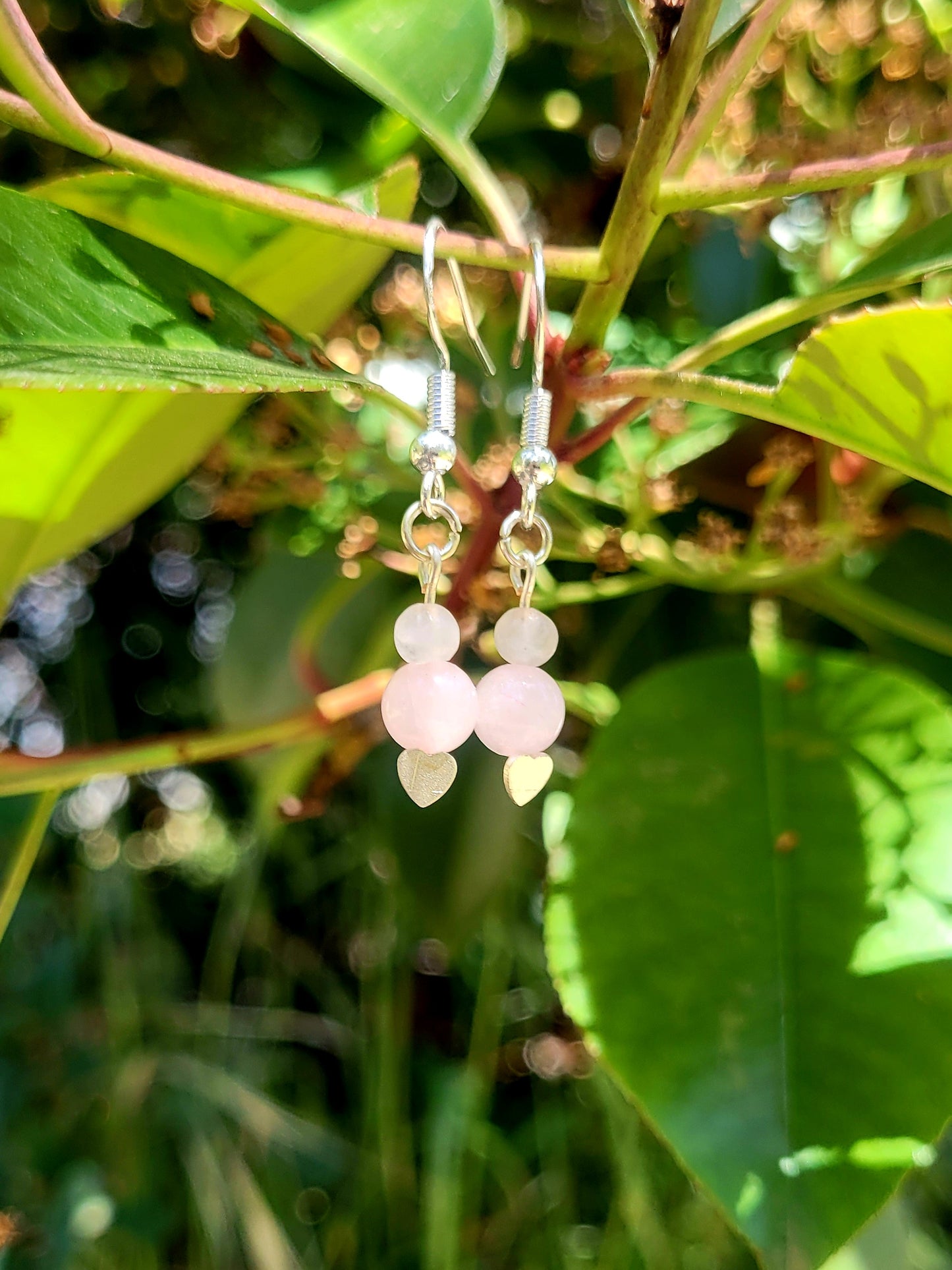 Rose Quartz Earrings