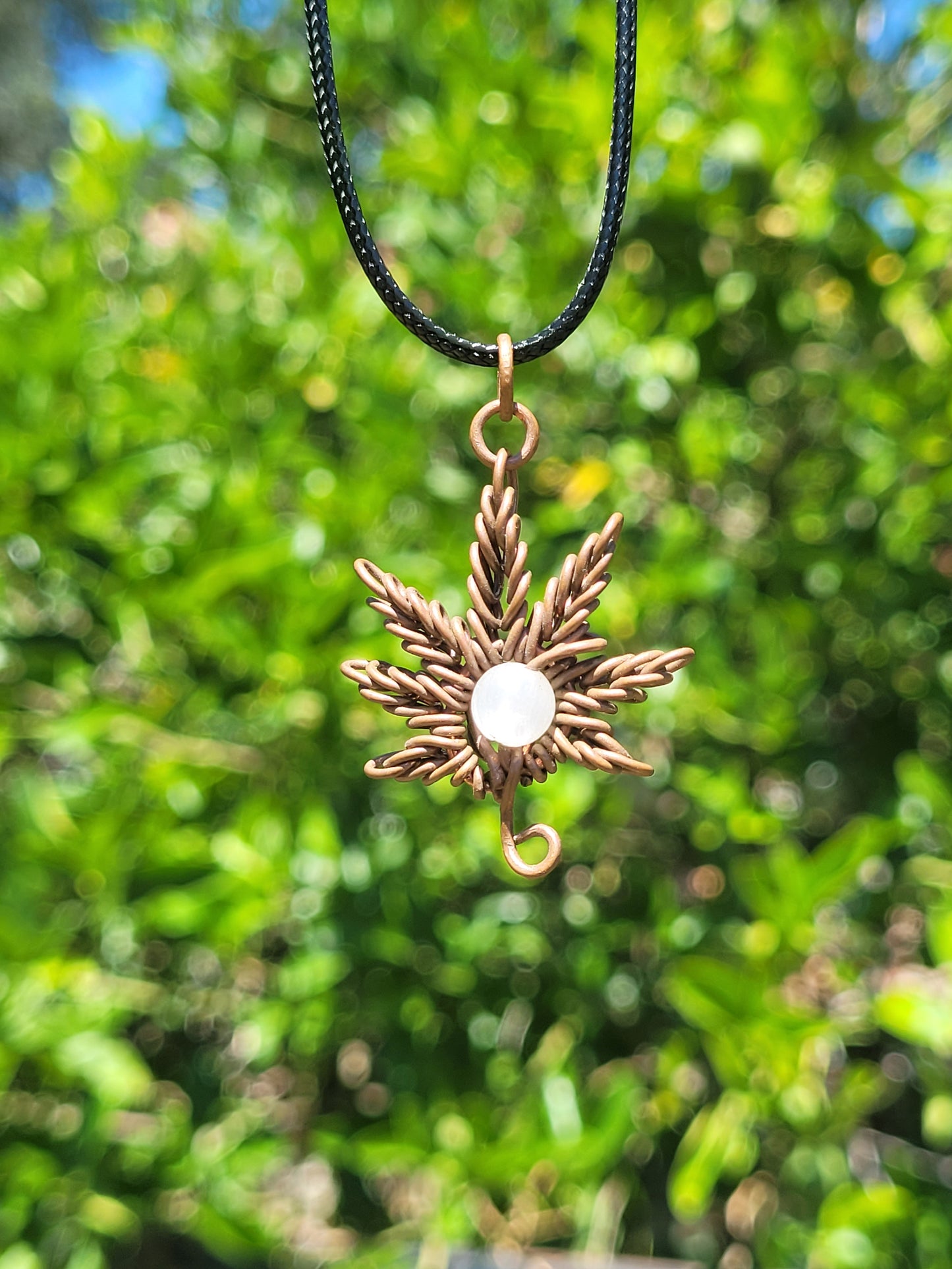 Canna in Copper