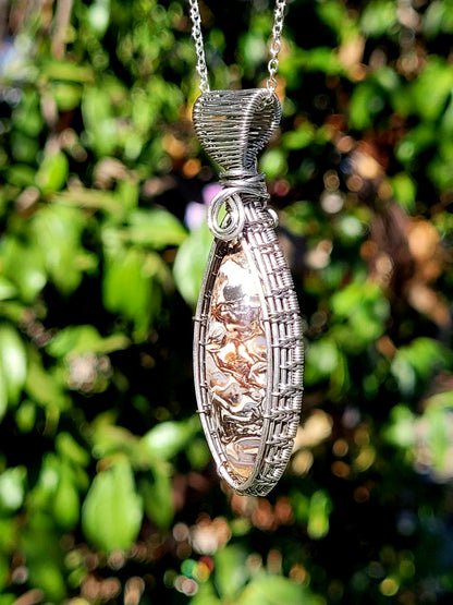 Turritella Agate Wire Wrapped Pendant