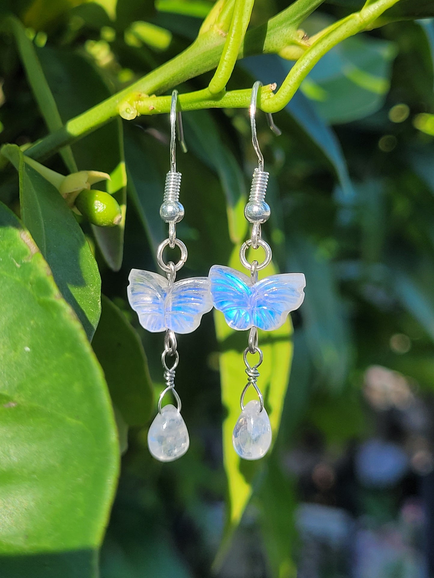 Moonstone Butterfly Earrings