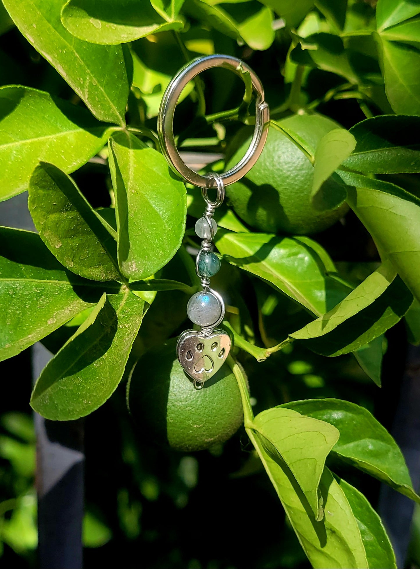 Crystal Keychains 🐾