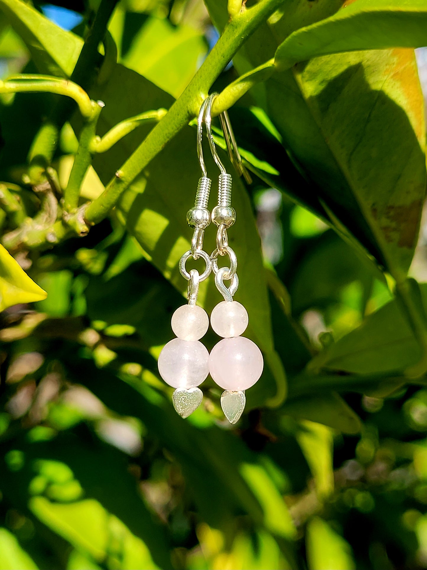 Rose Quartz ♡ Earrings